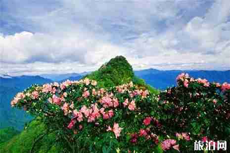 2019年5月19日中国旅游日四川巴中景区优惠信息汇总 2019年5月19日中国旅游日四川巴中景区优惠信息汇总