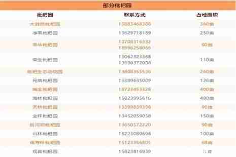 2019重庆合川古楼镇枇杷节 采摘园电话+价格 2019重庆合川古楼镇枇杷节 采摘园电话+价格