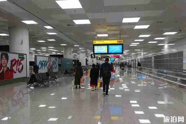 在外国护照身份证丢了怎么办能回国吗
