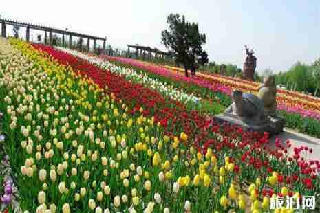 2019石家庄植物园年卡办理
