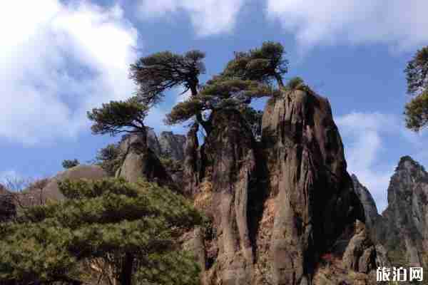 2019三清山门票多少钱 三清山索道价格+优惠政策 2019三清山门票多少钱 三清山索道价格+优惠政策