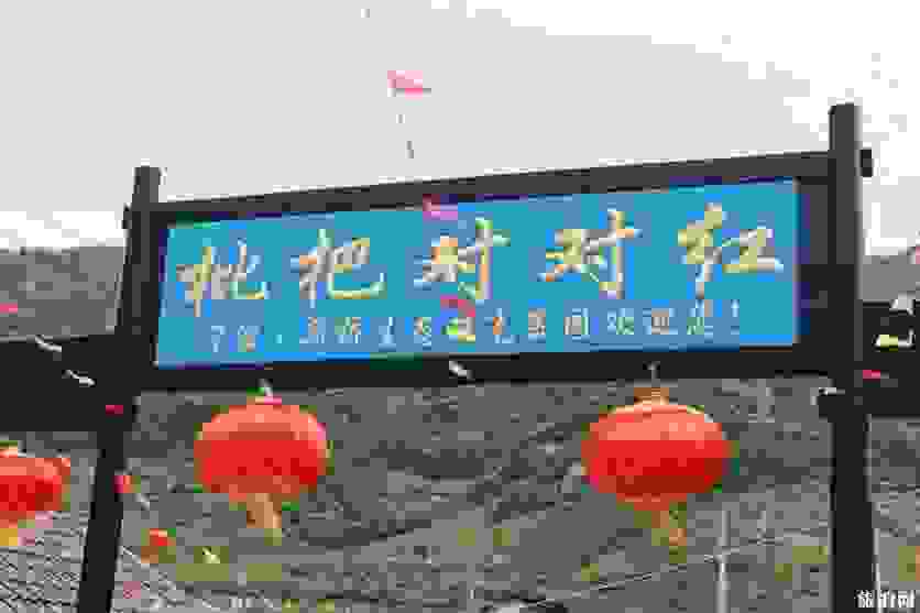 2019象山新桥枇杷节时间+地点+门票+活动内容 2019象山新桥枇杷节时间+地点+门票+活动内容
