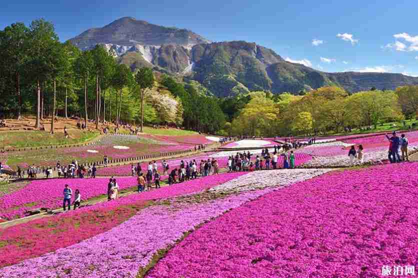 2019日本赏花时间表+地址 2019日本赏花时间表+地址