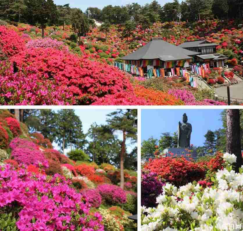 2019日本赏花时间表+地址 2019日本赏花时间表+地址