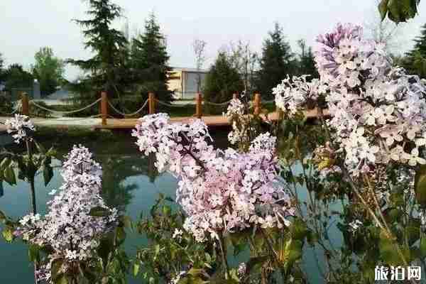 秦岭国家植物园门票多少钱+优惠政策 秦岭国家植物园门票多少钱+优惠政策