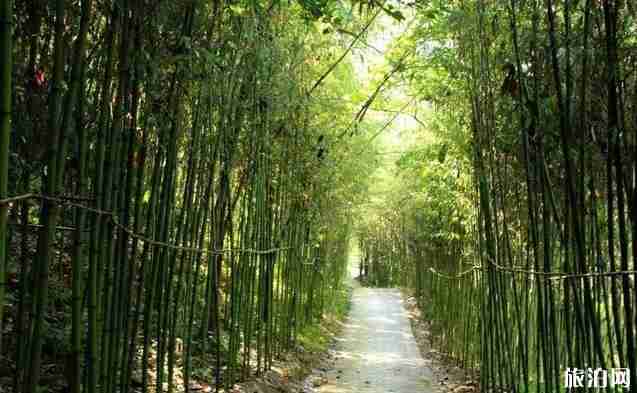 秦岭国家植物园门票多少钱+优惠政策 秦岭国家植物园门票多少钱+优惠政策