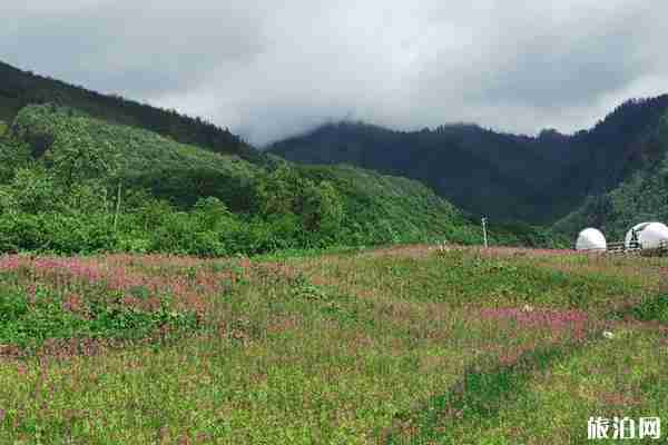 西岭雪山自驾游二日 西岭雪山自驾游二日