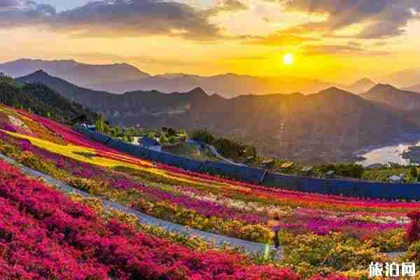 2019高考生旅游优惠政策成都周边景点优惠信息整理