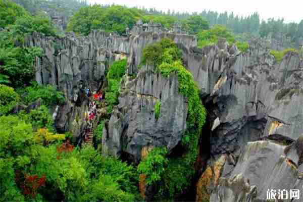 2019高考准考证石林风景区免票游玩信息