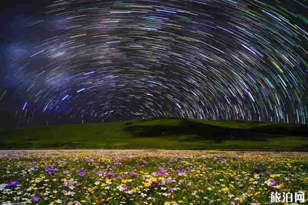 2019俄木塘花海最佳时间+怎么样