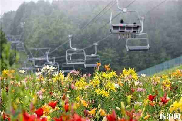 2019日本夏季赏花时间+地点+介绍