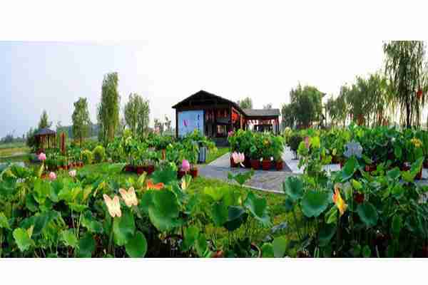 2019第七届铁岭荷花文化旅游节7月13日开启