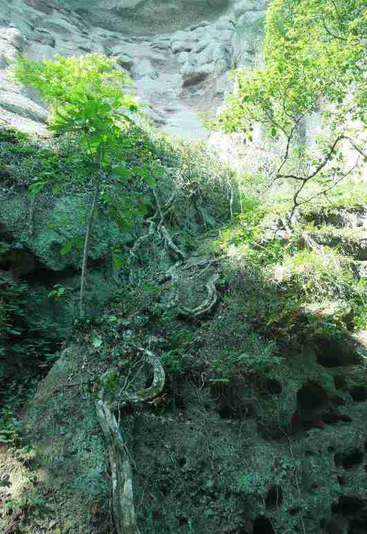 天柱峰景区在哪里 天柱峰景区游玩攻略 天柱峰景区在哪里 天柱峰景区游玩攻略
