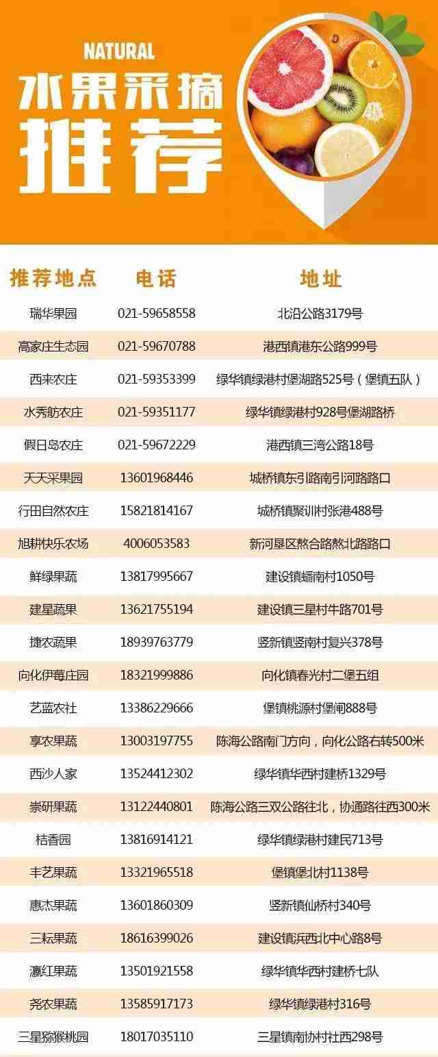 上海崇明哪些地方可以摘水果
