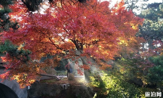 庐山有哪些特色景点 庐山门票多少钱 庐山有哪些特色景点 庐山门票多少钱