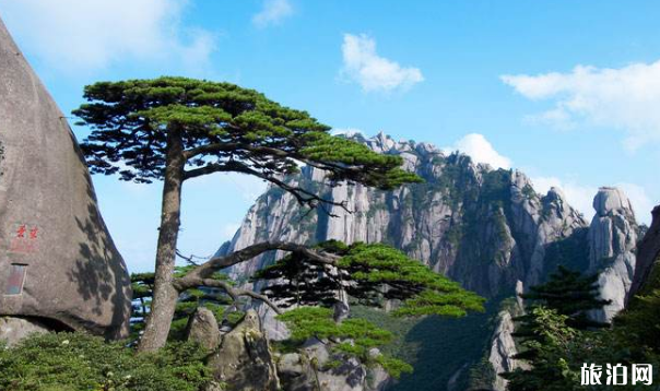 黄山旅行注意事项 去黄山带什么东西好