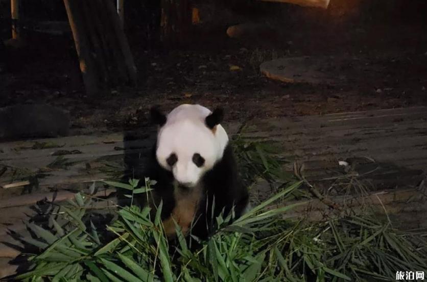 2019深圳暑假都有哪些活动 2019深圳暑假都有哪些活动