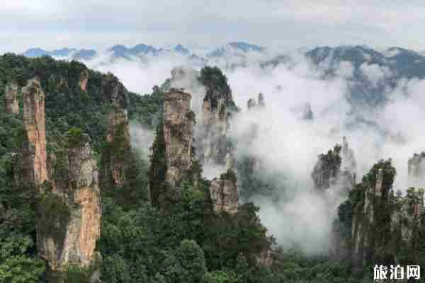 张家界景点游玩时间+顺序 张家界景点游玩时间+顺序