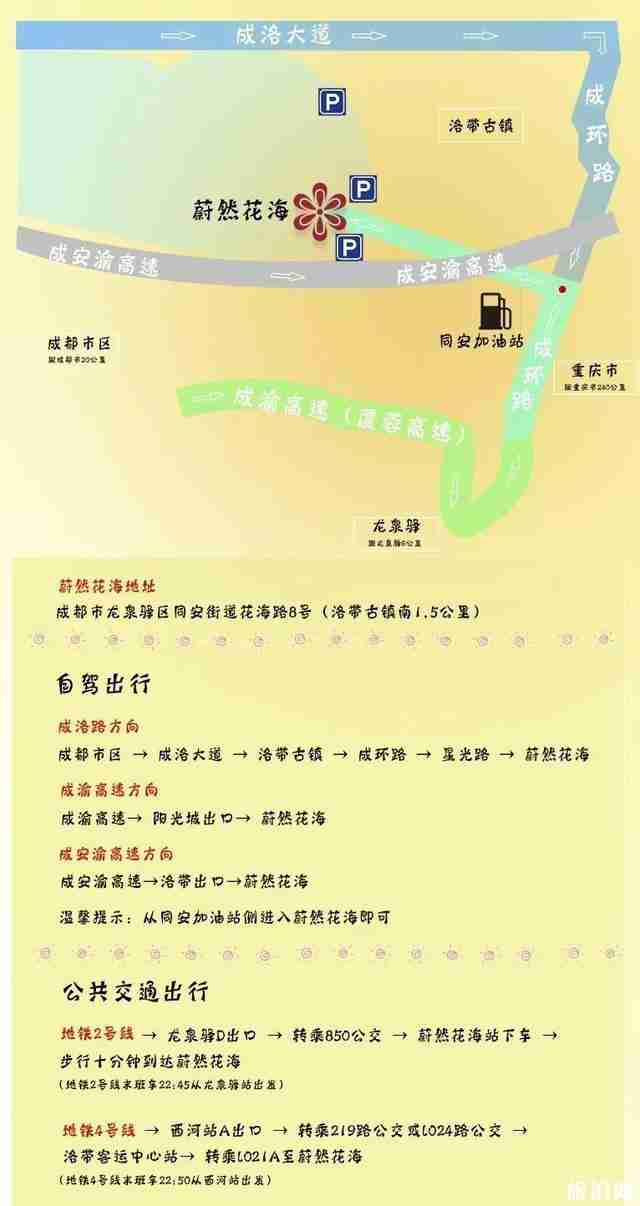 成都龙泉驿区蔚然花海向日葵观赏指南