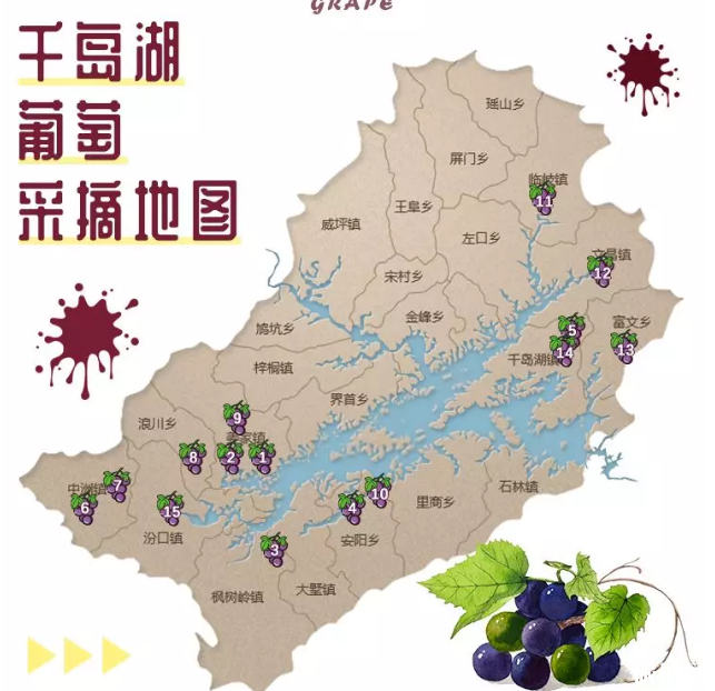 2019千岛湖采摘地推荐+最佳采摘时间