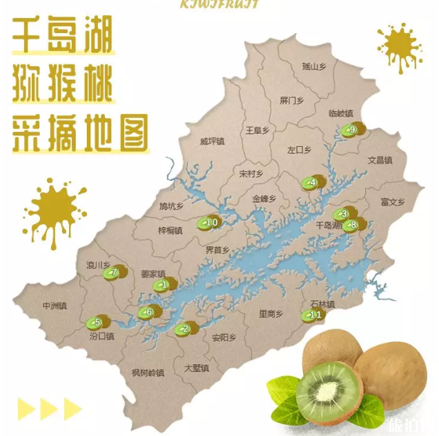 2019千岛湖采摘地推荐+最佳采摘时间