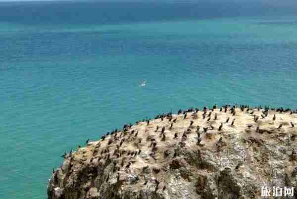 青海湖旅游攻略2019 青海湖旅游攻略2019