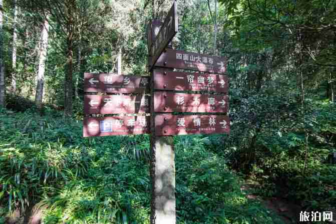 四面山旅游攻略一日游