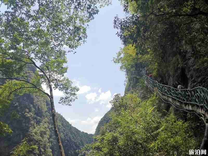鹤峰屏山峡谷旅游攻略 鹤峰屏山峡谷旅游攻略