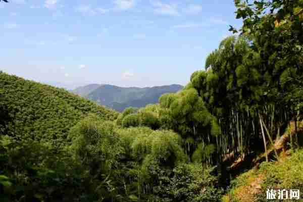 莫干山徒步线路推荐 莫干山徒步线路推荐