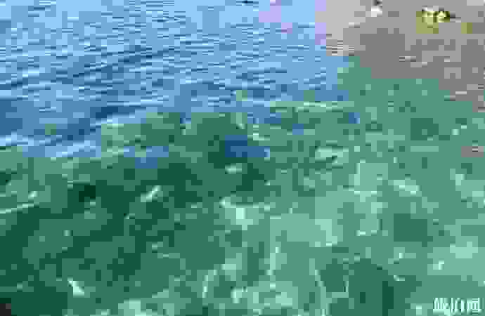 巽寮湾在哪里 巽寮湾有什么景点