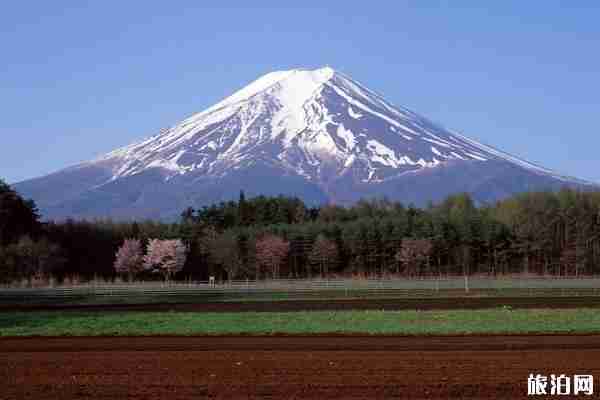 富士山最佳观赏时间地点 富士山最佳观赏时间地点