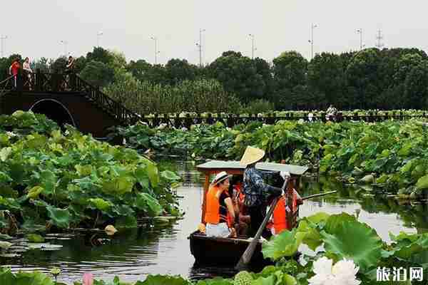 苏州荷塘月色湿地公园好玩吗 门票多少钱