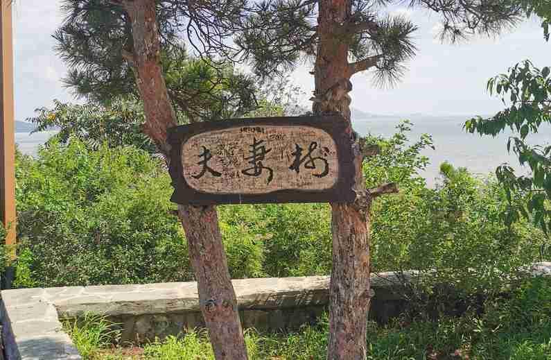 葫芦岛游记 葫芦岛游记作文600字 葫芦岛游记 葫芦岛游记作文600字