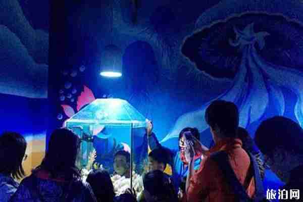 珠海狮门娱乐天地攻略大全 珠海狮门娱乐天地攻略大全