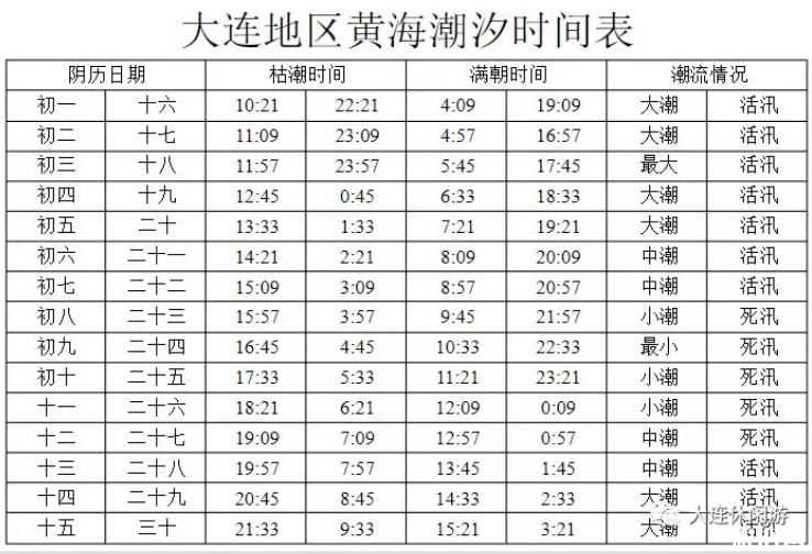 大连开海时间2019+赶海时间 大连赶海去哪里比较好 大连开海时间2019+赶海时间 大连赶海去哪里比较好