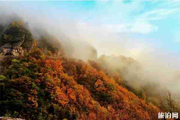 成都自驾游光雾山路况怎么样 光雾山景区内部交通