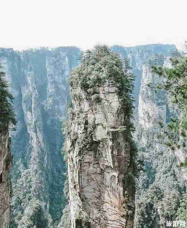 去张家界要注意点什么 张家界旅游都需要带什么 去张家界要注意点什么 张家界旅游都需要带什么