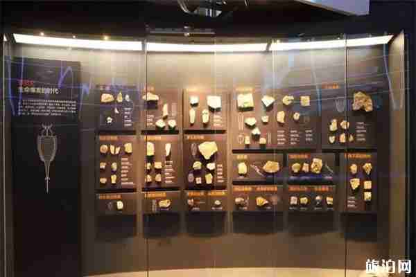 国家海洋博物馆有几个展厅 国家海洋博物馆有几个展厅