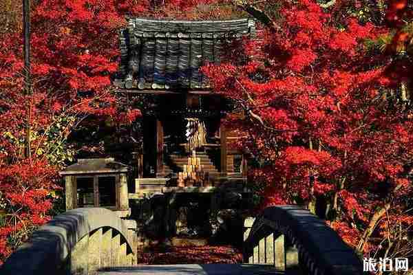 京都赏枫叶最佳地点 京都赏枫叶的寺庙推荐 京都赏枫叶最佳地点 京都赏枫叶的寺庙推荐