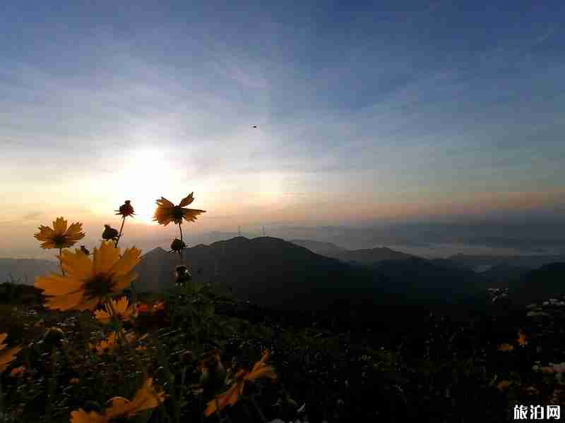 大熊山国家森林公园游玩攻略 大熊山国家森林公园游玩攻略
