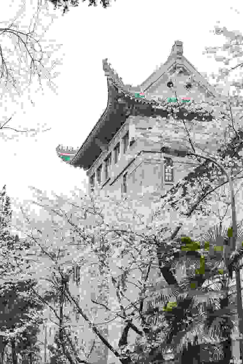 武汉大学有哪些建筑值得一看 武汉大学有哪些建筑值得一看
