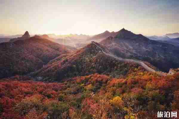 秦皇岛赏枫叶去哪里