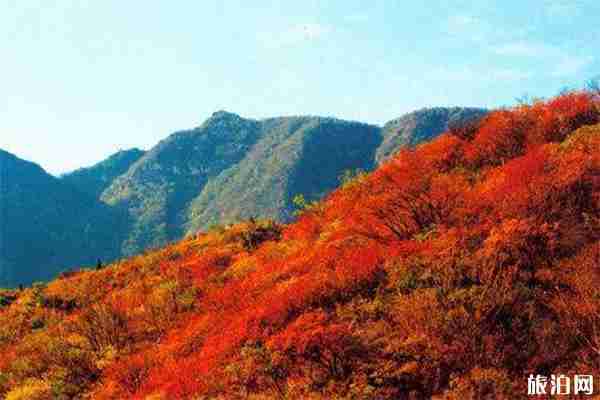 嵩山最佳游玩时间 嵩山节日表演有哪些