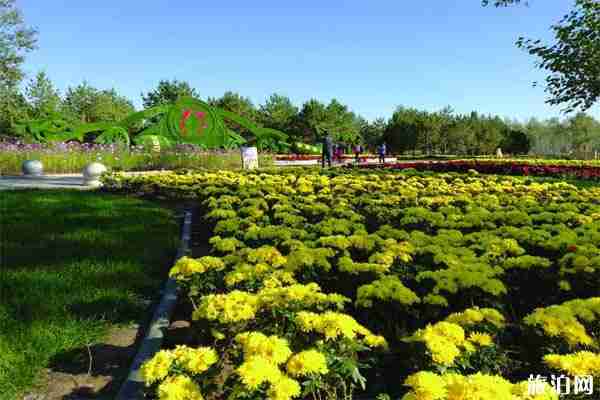 2019年齐齐哈尔梅里斯湖菊花节时间+地址+活动介绍