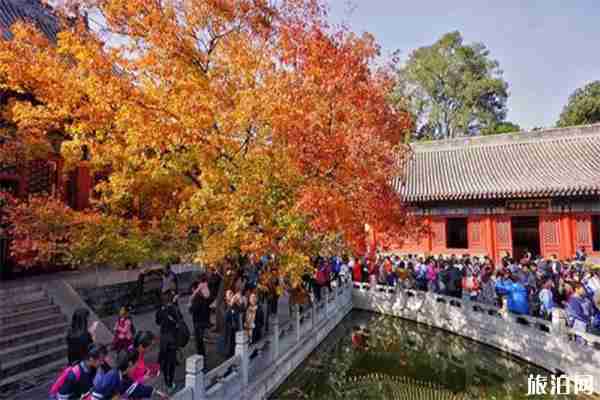 北京香山公园索道门票价格+许愿地点