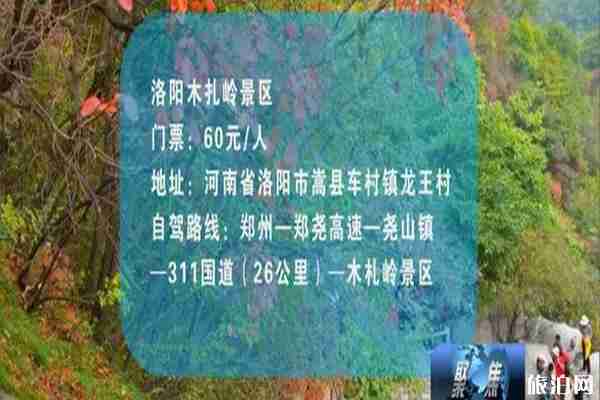 河南10月赏秋好去处 青天河+老界岭+木札岭 河南10月赏秋好去处 青天河+老界岭+木札岭
