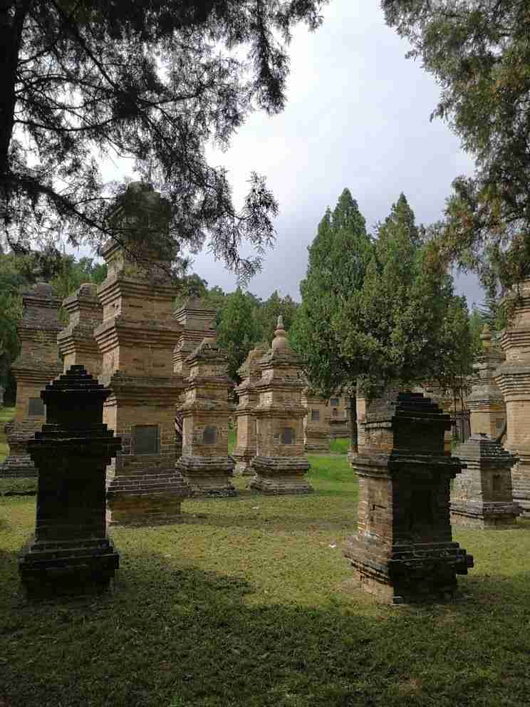 少林寺塔林能照相不 少林寺塔林是干什么的