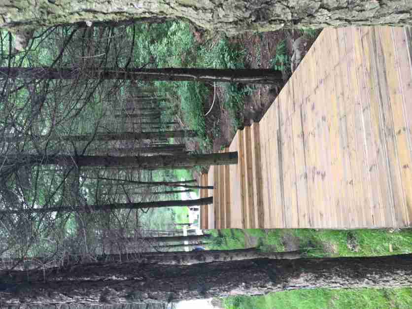 白石山在哪 白石山自驾游攻略+门票+玻璃栈道