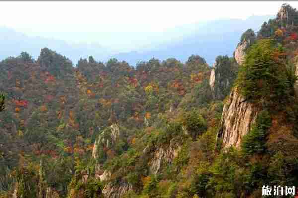 老君山红叶什么时候最美 老君山红叶观赏地点推荐