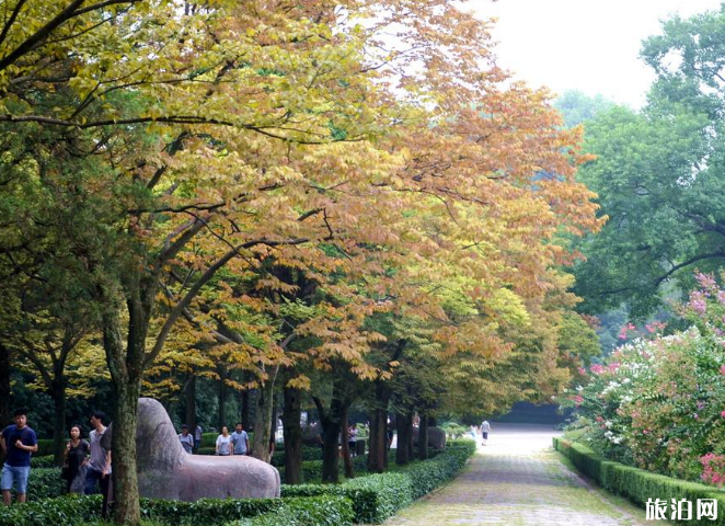 青岛秋天游玩的好地方 11月青岛赏秋地点推荐